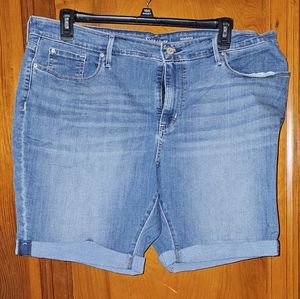 Levi Shorts